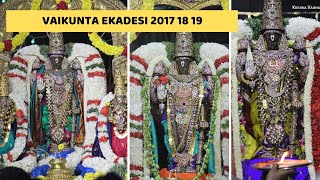 Sri Parthasarathy Perumal Vaikunta Ekadesi 2017 2018 2019  Thiruvallikeni Pasuram [upl. by Midian]