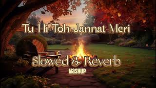 Tu hi To Jannat Meri 🌸Love mashup Song HealingHeartc8p Night Lofi [upl. by Yesnyl974]