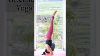 Headstand for Beginners headstand yogaforbeginners internationalyogaday [upl. by Cinomod480]