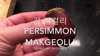 Trying persimmon makgeolli  Trying my patience 감 막걸리 [upl. by Galatia]