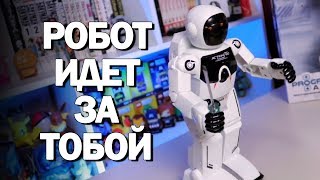 РОБОТКОСМОНАВТ С ОТВЕРТКОЙ Silverlit Робот  Programmeabot [upl. by Eimrots]