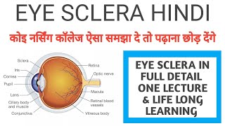 Eye in hindi  Sclera of eye  Sclera  Eye Anatomy  Human Eye in Hindi  Eye Biology [upl. by Laniger]