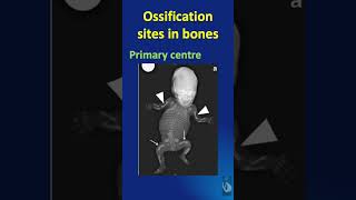 Shorts  126 Primary and secondary ossification centres of bones in the hand [upl. by Greerson]