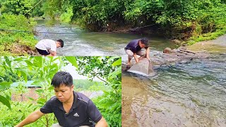 While weeding in the acacia garden the son went outside and found a TV in the stream [upl. by Travers468]