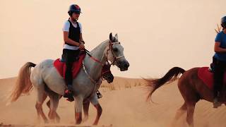 DUBAI HORSE RIDING  AMAZING VIDEO by Supek Team Endurance [upl. by Ynnij]