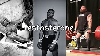 Testosterone Booster Real [upl. by Ydnes]