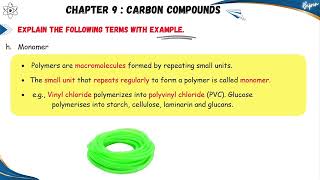 What is a monomer  Monomers and Polymers 🔥 Monomers amp polymers ssc carboncompounds [upl. by Ataga490]