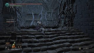 Dark Souls 3 Coop with Angel amp DragonCJM  Smouldering Lake  Turning off the Ballista [upl. by Shaikh99]