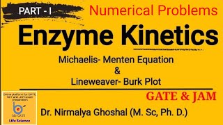 MichaelisMenten Equation and Lineweaver Burk Plot Numerical problem for NET GATE amp JAM [upl. by Kelli]