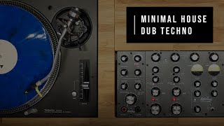 Minimal House amp Dub Techno Vinyl DJ SET  MasterSounds Radius 2 [upl. by Noid]