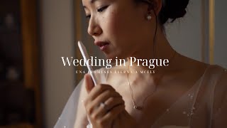 Video Matrimonio Praga  Wedding Forte Prague  NAIFF Studio 2019 [upl. by Indys677]