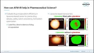 Introduction to Photothermal AFMIR  Bruker Webinar [upl. by Emarie]