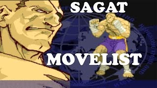 Street Fighter Alpha 3  Sagat Move List [upl. by Thorner357]