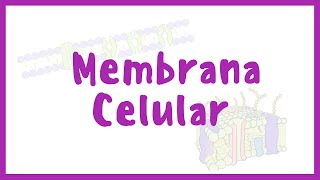 FISIOLOGÍA  Membrana Celular  Blasto Med [upl. by Vihs]