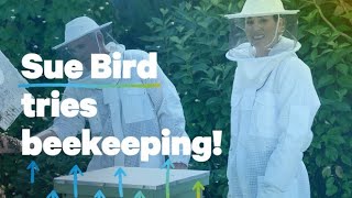 Symetra helps Sue Bird spread her wings in retirement by learning beekeeping from pro bee rescuers [upl. by Eesdnyl]