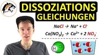 Dissoziationsgleichungen aufstellen  Säuren Basen amp Salze [upl. by Gerius]