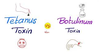 Tetanus Toxin vs Botulinum Toxin  Comparisons Series [upl. by Jarnagin]