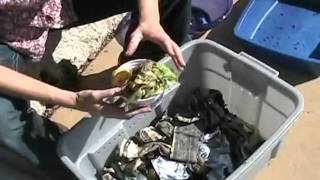 How to Compost with Worms [upl. by Teddy]