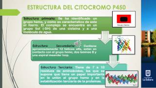 Biotransformación de fármacos por el citocromo P450 [upl. by Ilan]