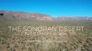 THE SONORAN DESERT Aerial Drone Footage [upl. by Anirazc575]