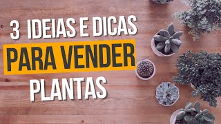 Empreendedor Verde 3 Ideias e Dicas Para Começar um Negócio de Plantas [upl. by Ajet]