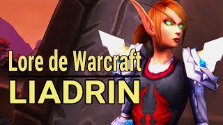 WARCRAFT  Histoire de Dame Liadrin [upl. by Ameehs]