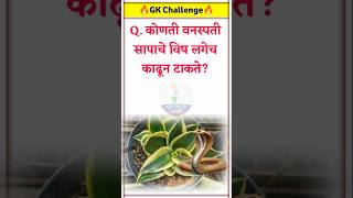 जनरल नॉलेज  Quiz Today  Question amp Answer  Current Affairs  GK QUIZ MARATHI [upl. by Belanger]