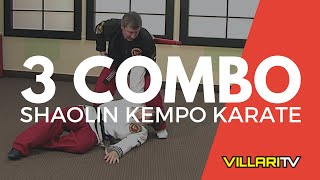 3 Combination  Shaolin Kempo Karate  Villaris Martial Arts [upl. by Eisle]