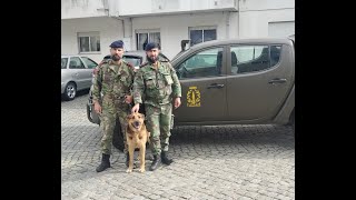 NÚCLEO CINOTÉCNICO DOS FUZILEIROS ADOTA PASTOR ALEMÃO [upl. by Aramac]