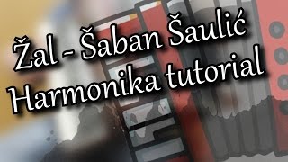 Žal  Šaban Šaulić Harmonika Tutorial Za početnike Cover [upl. by Tirrej768]