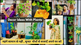 Best Low Maintenance Indoor Plants for Your Home  Home Decoration with Plants [upl. by Lirbij]