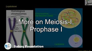 Meiosis Prophase I Biology Lecture  Sabaqpk [upl. by Deehsar111]