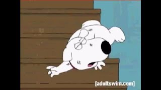 Family Guy Stewie Beats Up Brian [upl. by Dagmar]