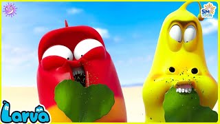 LARVA SEASON 2 EPISODE 203  304 🍟 NEST VERSION LARVA  COMICS  MINI SERIES FROM ANIMATION LARVA [upl. by Aihtenak]