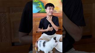 Cat saves owner 👍🐈 cat kitten smartcat pets shorts foryou [upl. by Nylloc]