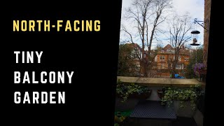 North Facing Balcony Garden Plants  Gardening In Shade  Spring Balcony Garden Tour [upl. by Attenat]