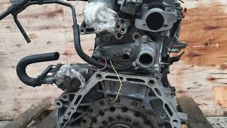 Honda B20B 20 problems and weak points [upl. by Edda245]