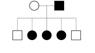 XLinked Pedigrees MADE EASY [upl. by Etnud96]