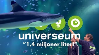 Vi besöker Universeum  Fiskar hajar amp skaldjur [upl. by Ssur808]