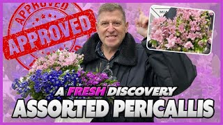 JFTV A Fresh Discovery PERICALLIS with Mike [upl. by Nama981]