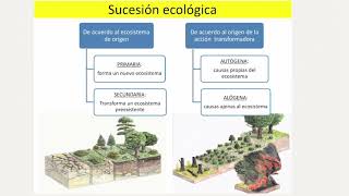 Ecosistema estructura y funcionamiento biocenosis biotopo sucesion ecologica piramide trofica [upl. by Moya]