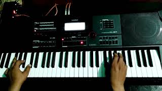 Teri jhalak asharfi instrumental cover on casio 9000in keyboard [upl. by Rumney]