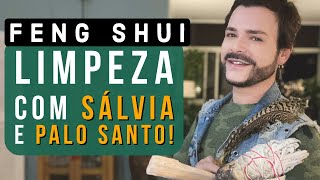 LIMPE OBJETOS PESSOAS E AMBIENTES COM SÁLVIA BRANCA E PALO SANTO LUIZ NETTO [upl. by Auberon]