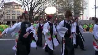 静岡まつり2012 竹千代殿どん 常大 祭り組 夜桜乱舞 [upl. by Acinyt234]