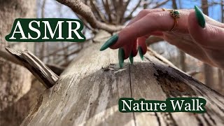 ASMR Nature Walk Tapping amp Scratching🌲🫶🏻☀️ No Talking [upl. by Enavi]