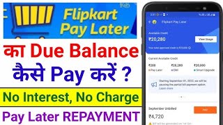 Flipkart pay later emi payment kaise kare  Flipkart pay later not working [upl. by Fara]