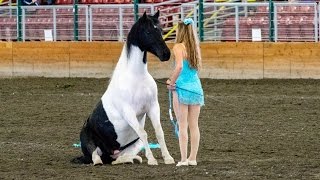 Liberty and Free Riding Performance at the Evergreen State Fair [upl. by Danby]