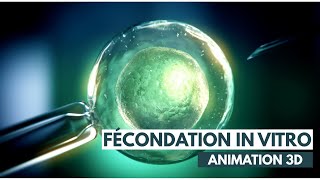 Fécondation In Vitro FIV  ICSI  Animation 3D [upl. by Hembree878]