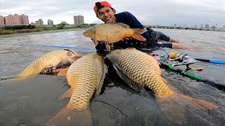 COBA UMPANKU Racikan Umpan Jitu Ikan Mas Babon  TES LANGSUNG Panen Ikan Mas Babon Di Sungai Liar [upl. by Harrie849]