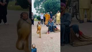 Monkey dance  🐒 dancer monkeyvideo comedyshorts sonu vlogs shorts [upl. by Rodie39]